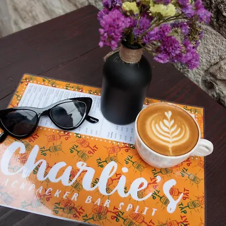 Booze & Snooze Social سبليت