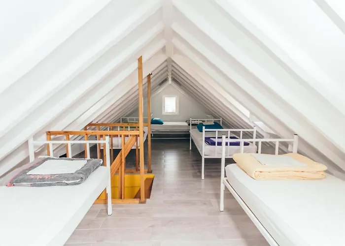 Booze & Snooze Social Hostel *